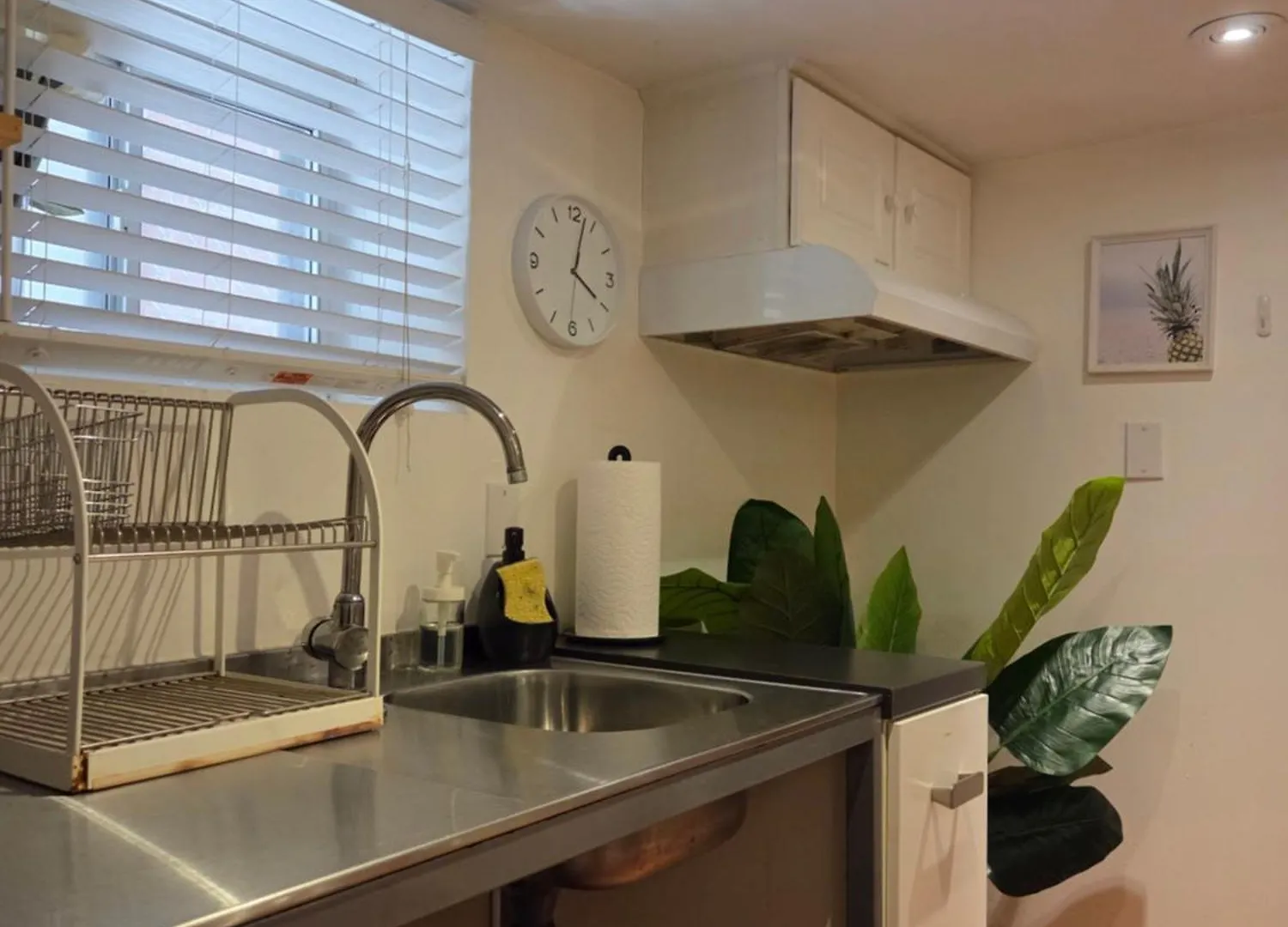 Charming Basement Suite With Private Entrance Near Subway, Koreatown & Uoft Toronto 0*,  Canada